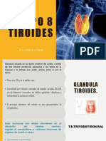 8 TIROIDES Fisiopato