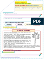 2021-11-15-FICHA -VIERNES S31-5-LEEMOS PLAN LECTOR EL ÁRBOL DE LA SHIRINGA-convertido