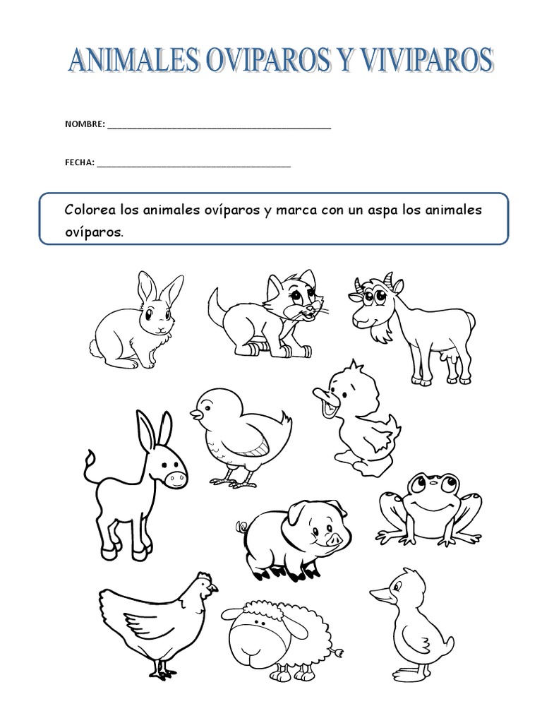 Documento que presenta ejercicios para identificar animales ovíparos y no ovíparos mediante coloreo. Se incluyen instrucciones y ejemplos visuales para facilitar la comprensión de los conceptos.