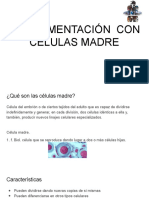 Experimentación Con Células Madre