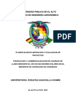 Proyectos Cam Secadora de Charque de Llama Rosayda Guachalla