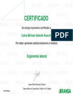 Certificado Ergonoma Laboral