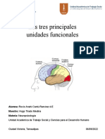 Las tres unidades del cerebro