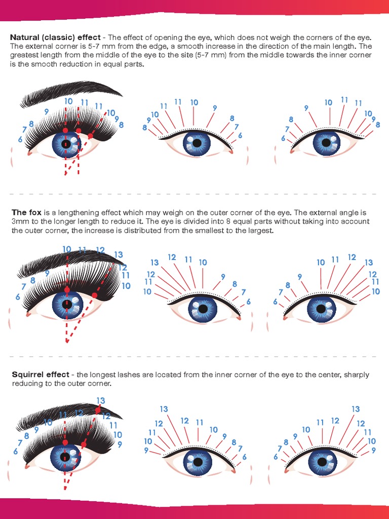 Types of Eyelash Extension Effects and Placement Techniques PDF