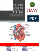 Cardiovascular KG&KU