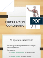 aparato_circulatorio (1)