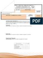 Formato de Evaluaciones