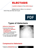 Lower Respiratory Diseases