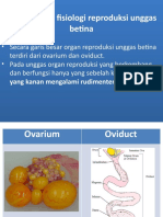 Reproduksi Betina