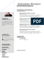 73 Curriculum Vitae Empresarial 97 2003