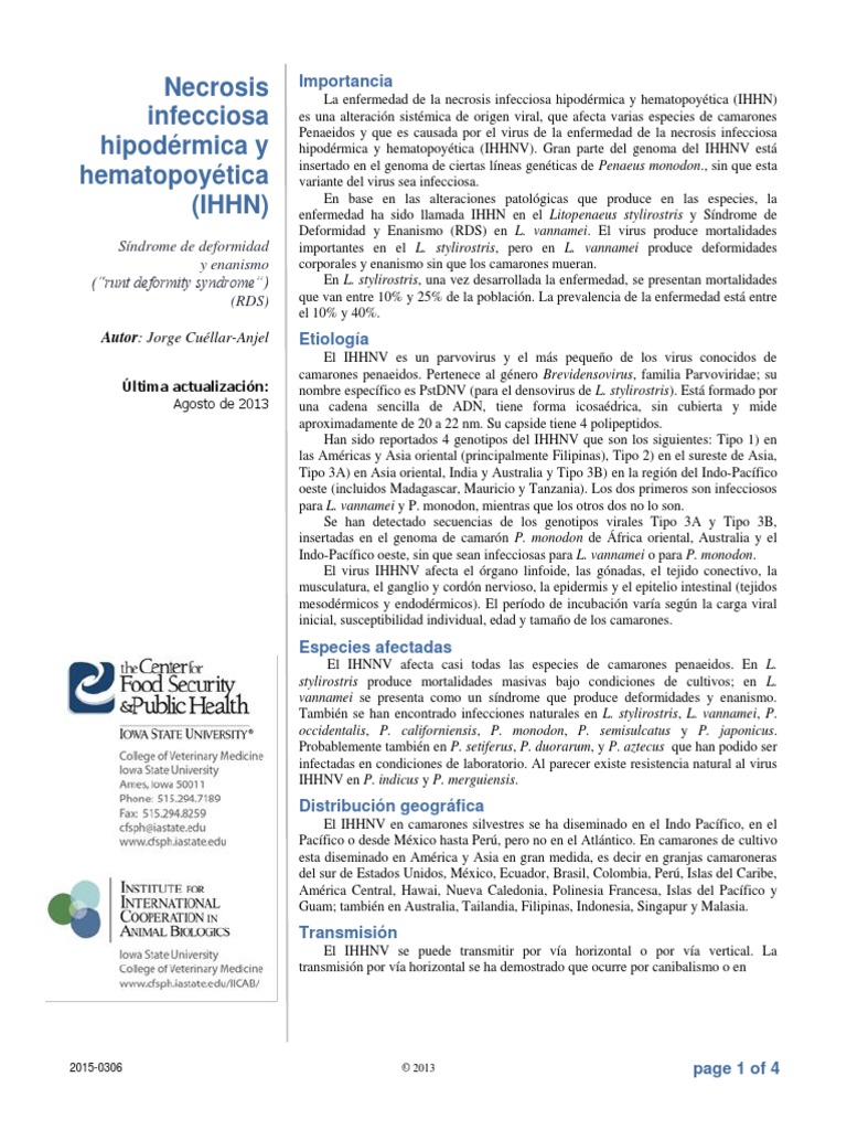Infectious Hypodermal and Hematopoietic Necrosis-Es | PDF | Virus ...