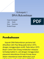 Tugas Kelompok Biolog DNA Rekombinan