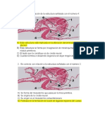 Global Embrio Irregulares