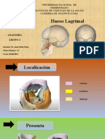 Hueso Lagrimal Anatomia