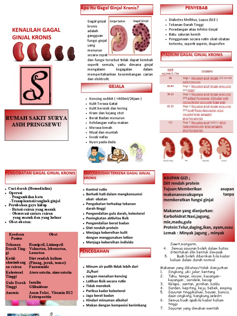 Leaflet Gagal Ginjal Kronis | PDF