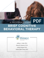 therapists_guide_to_brief_cbtmanual-1-39