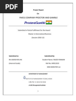 Download Project Report on pg by Rajeev Ranjan SN60972025 doc pdf