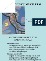 Sistem Muskuloskeletal