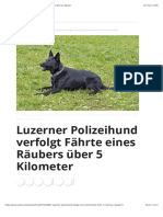 Luzerner Polizeihund Dodge Vom Eichertland Stellt in Meznau Räuber