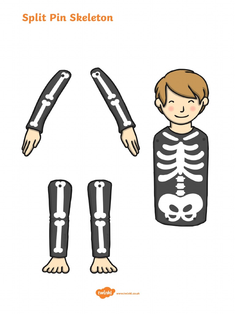Split Pin Skeleton PDF