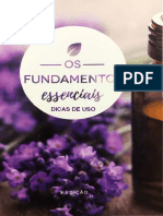 Os Fundamentos Essenciais - Dicas de Uso - Cópia