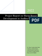 Sheep Project Report