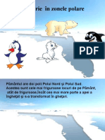 Animale Polare