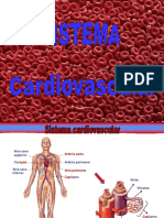 8_Sistema_Cardiovascular (2)