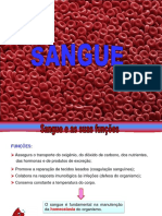 6_Sangue (1)