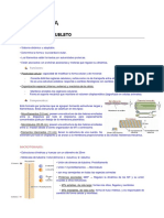 Histologia Tema 4