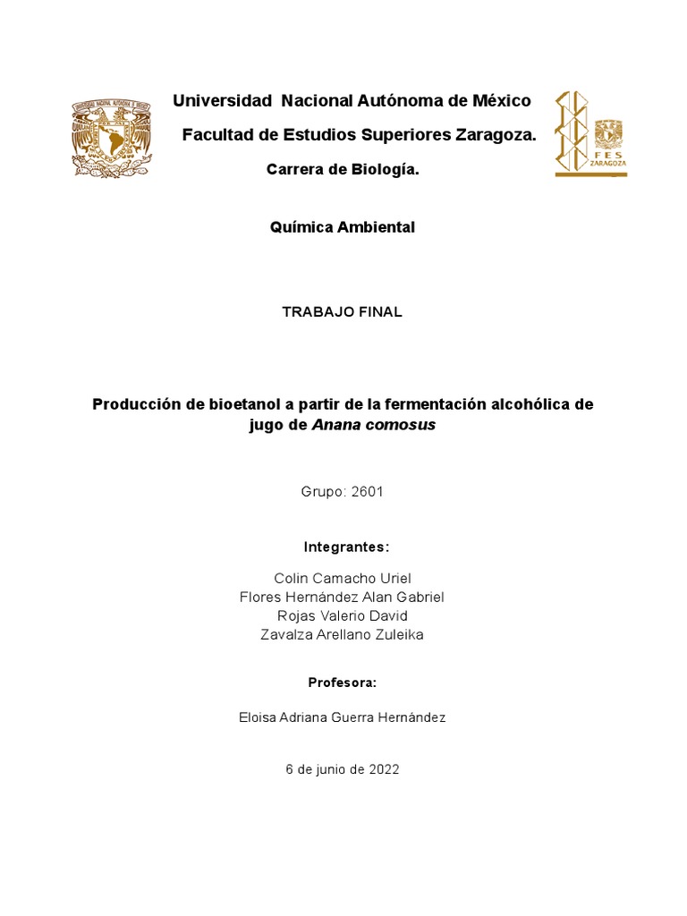 Producción de bioetanol de piña | PDF | Biocombustible | Combustible de ...