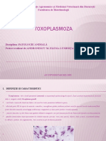 Andronescu Toxoplasmoza