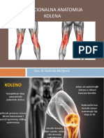 Funkcionalna Anatomija Kolena RM