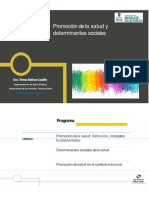 Clases 1 y 2 - Introducción y Determinantes Sociales de La Salud