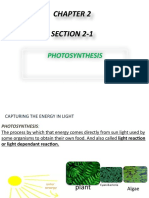 Section 2-1: Photosynthesis