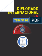 Diplomado Internacional en Terapia de Pareja