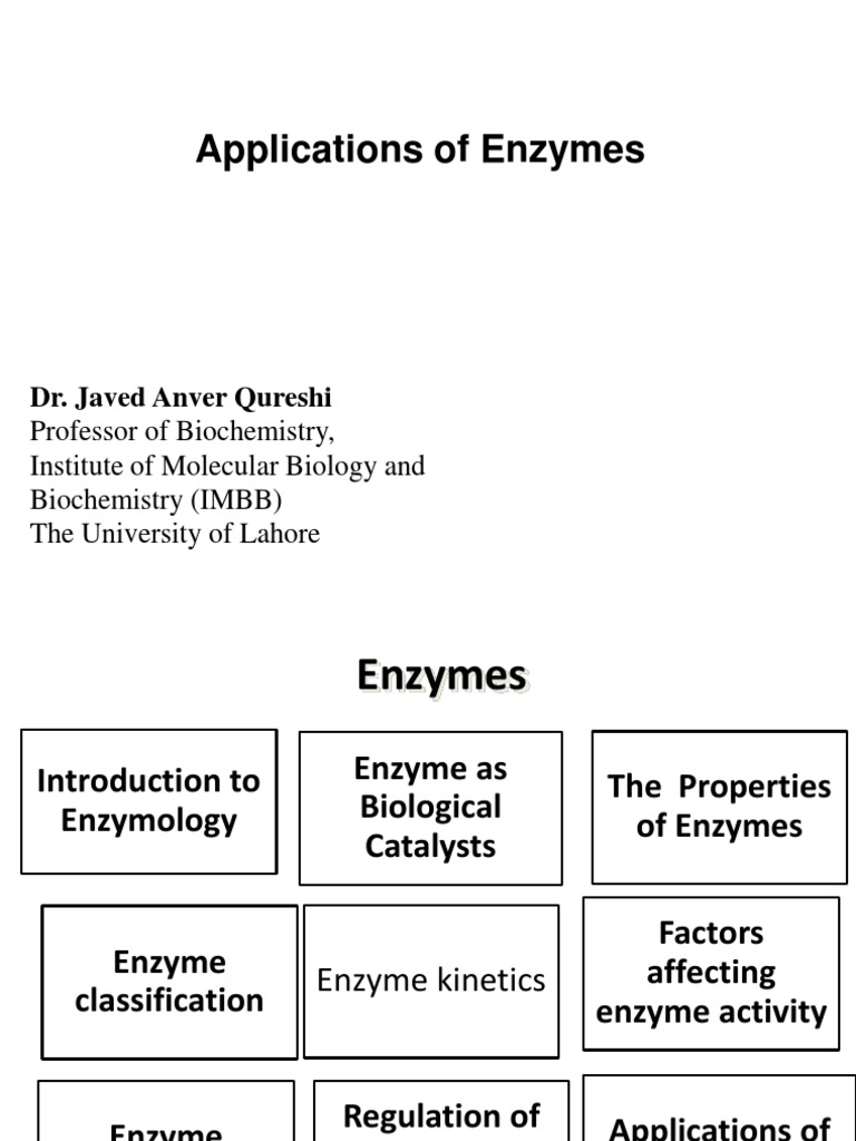 ENZYMES PRINCIPLES AND BIOTECHNOLOGICAL APPLICATIONS visual data 3