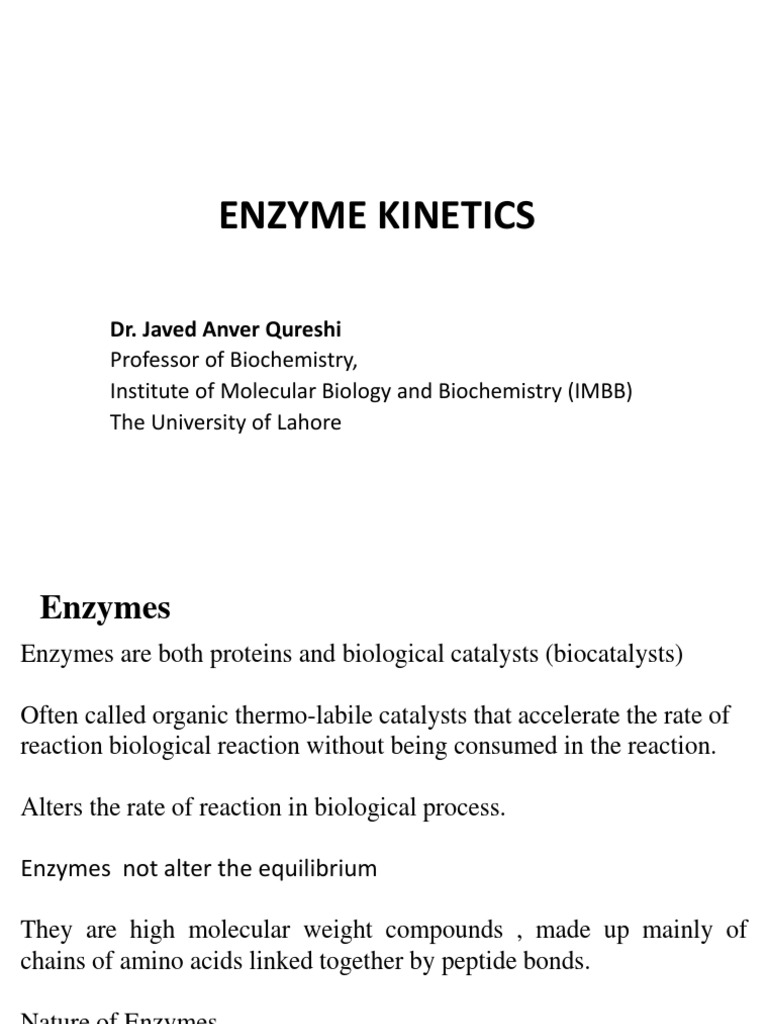 What Is Enzyme Kinetics Pdf