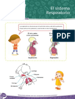 CyA-1er Sem 7 - El Sistema RespiratorioFINAL