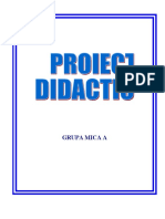 P.D. Joc Didactic_Criterii diferite_Grupa Mica