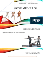 Ossos e Músculos