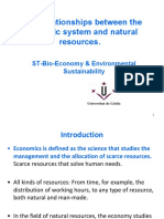 The relationships between economic systems, natural resources and sustainability
