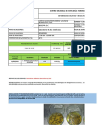 F.ier.001 Informe de Ensayos y Resultados.