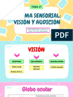 Tema 27 Sistema Sensorial Vision y Audicion