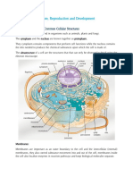 Cell Structure and Functions