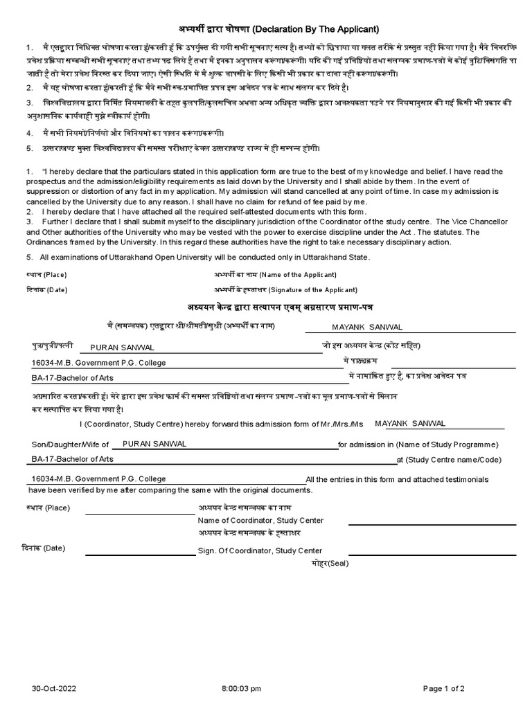 PApplication | PDF