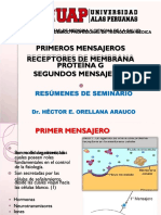 PDF Primeros Mensajeros Receptores de Membrana Proteina G Segundos Mensajeros Compress