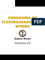 Programa de Flexibilidade para Wushu - Semanas 5-8