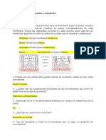 Examen 01 - 12 - Medicina 