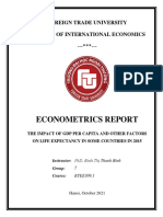 Econometrics Report